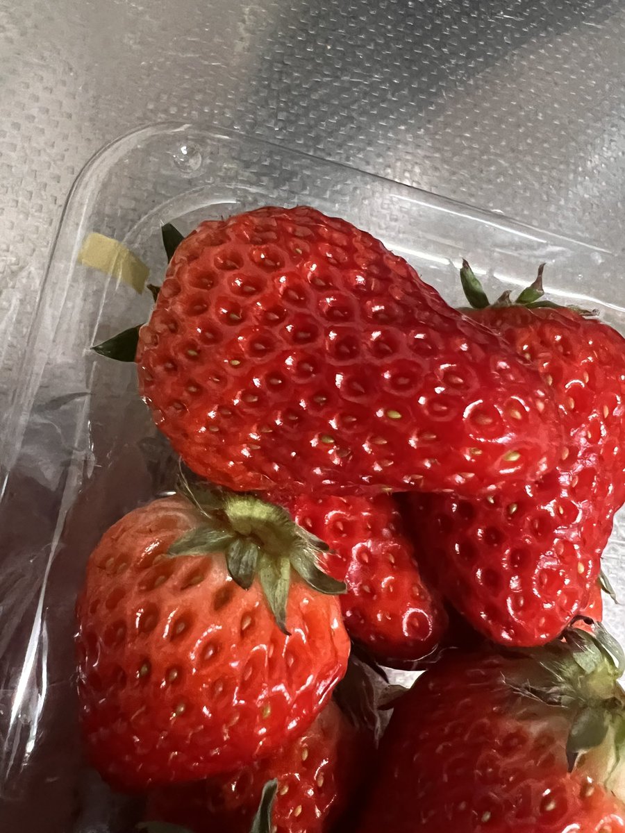 宇治野　熱線カラー版 tweet media