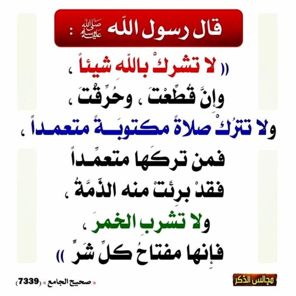 مسفر(ابومحمد) tweet media