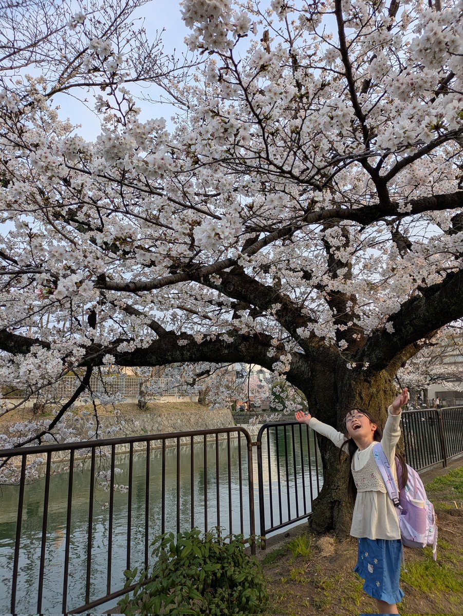 vanaiki's tweet photo. 全8局👏うち2局、プロの指導碁 #藤井秀哉八段 と #小野幸治四段 😄 フェスも満喫しとても勉強になった1日でした✨✨ https://t.co/s3R3ZovlmG