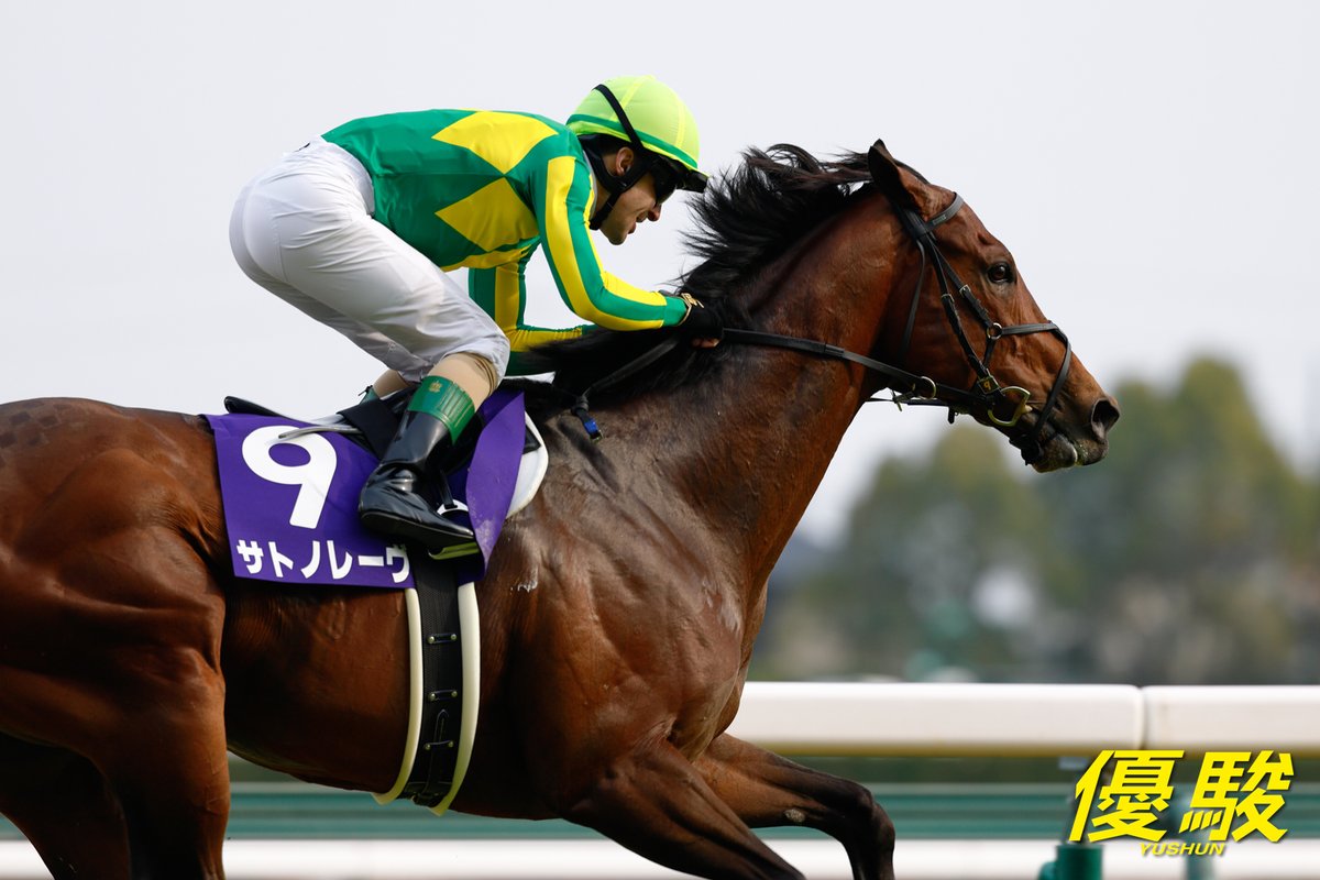 『優駿』編集部 tweet media