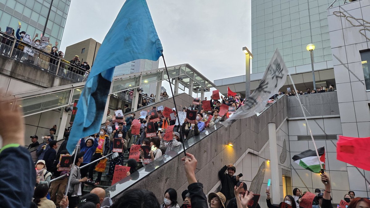 猫重力 tweet media