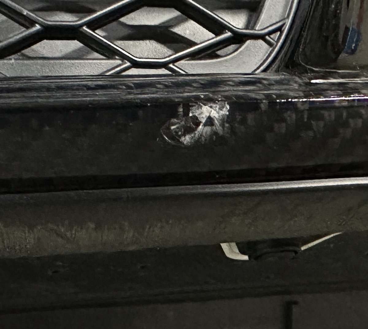 toshiya_ig tweet media