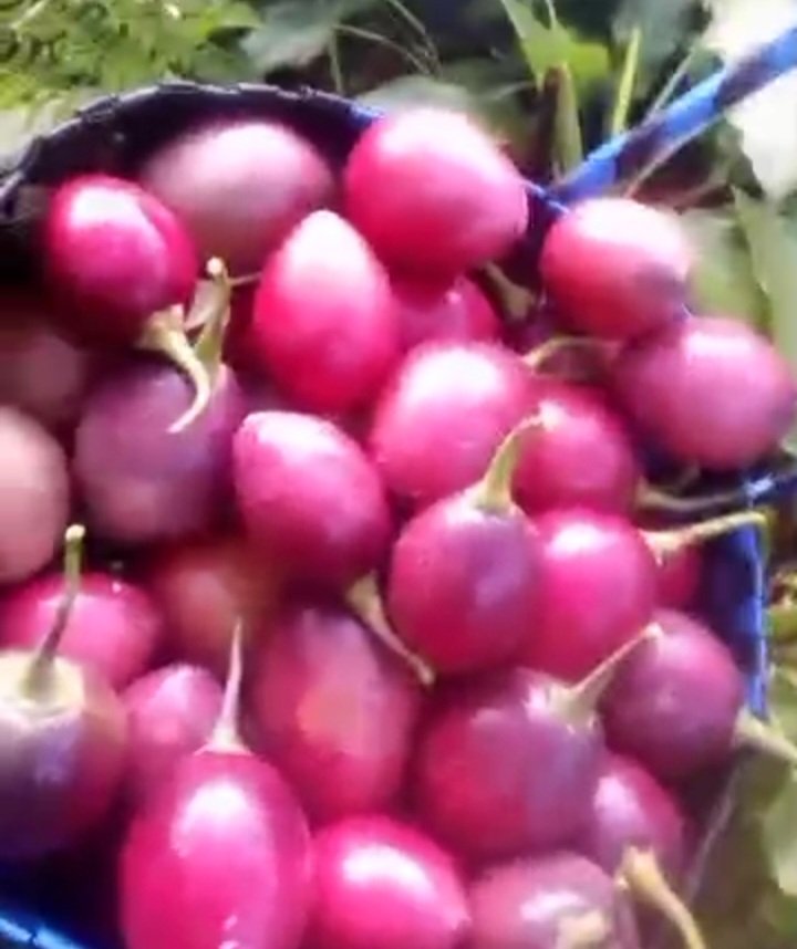 Umurerwa Chall tweet media