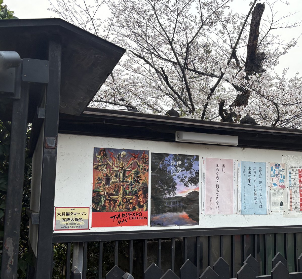 三ツ矢 美夜 tweet media