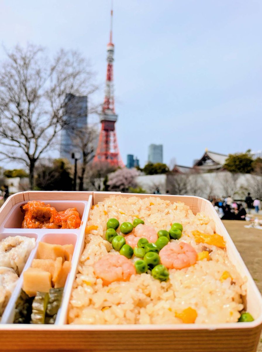 そろそろ帰阪。天気微妙な日が多かった気がする。
とはいえ何回か花見は出来た。
東京タワー🗼って初めて近くで見たかも。
次は初夏に来たいな。
↓
崎陽軒の炒飯弁当結構好き。