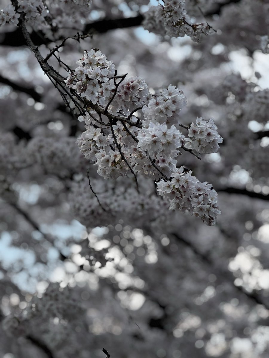 LEXUS_beginner tweet media