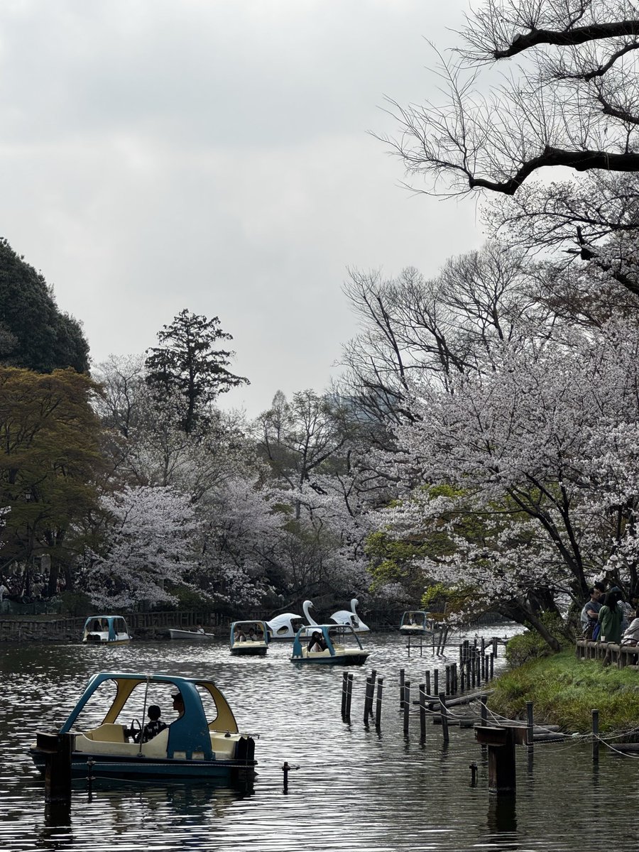 LEXUS_beginner tweet media