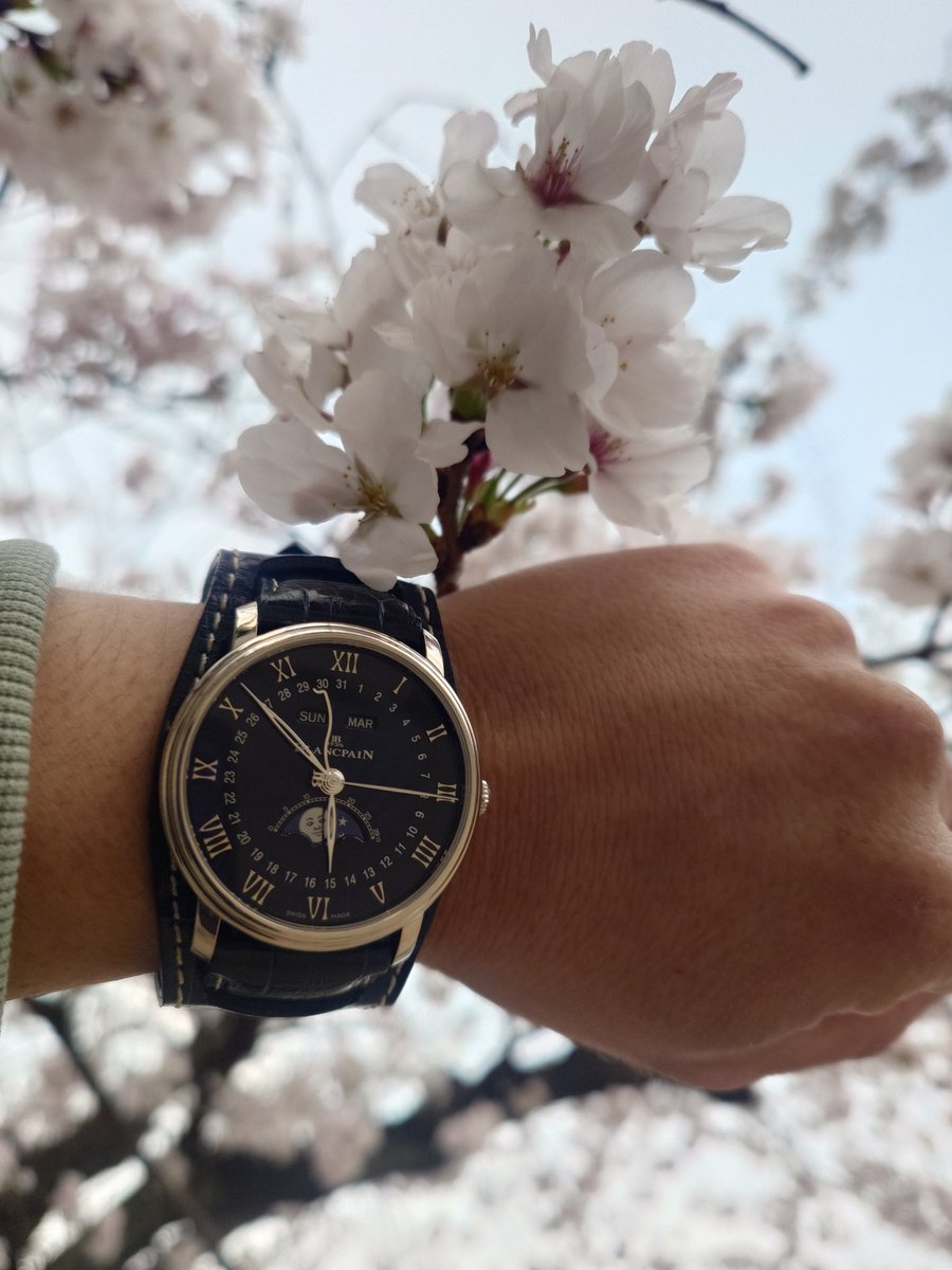 てぃこにん tweet media