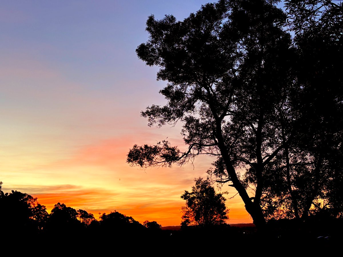 𝐌𝐦𝐦𝐦𝐦𝐢𝐜𝐡𝐞𝐥𝐥𝐞🇦🇺🇦🇺🇦🇺𝐨𝐢! tweet media