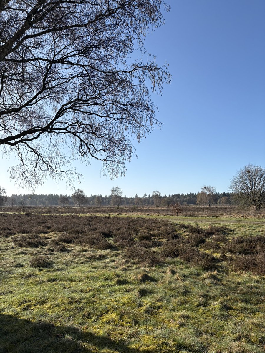 Stephan van Huis tweet media