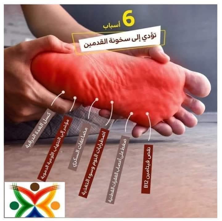 عقيًل بن محمد العقيًل( أبو أنس) tweet media