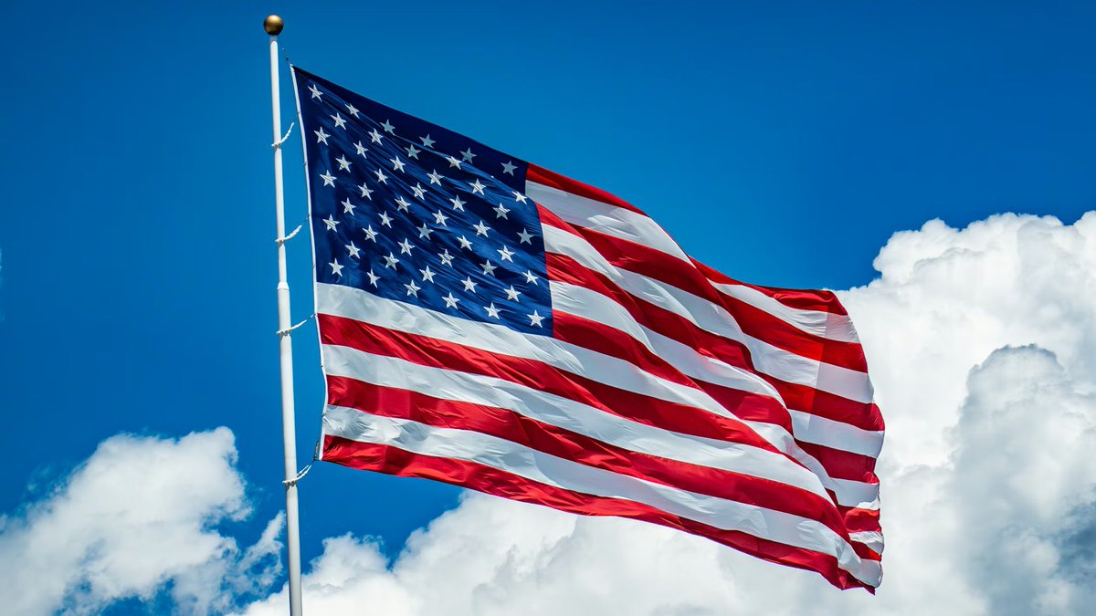 Whale Insider tweet media