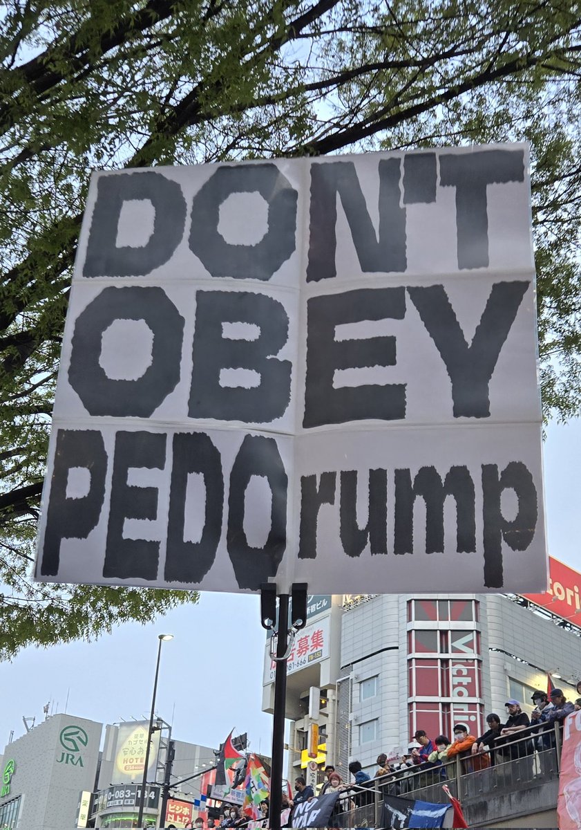 猫重力 tweet media