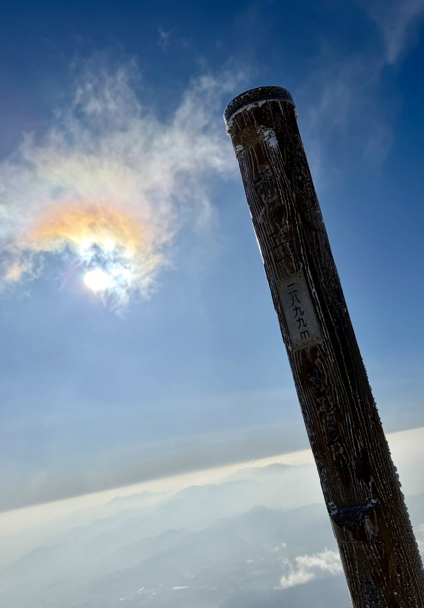 あるみ🥫みかん🍊 tweet media