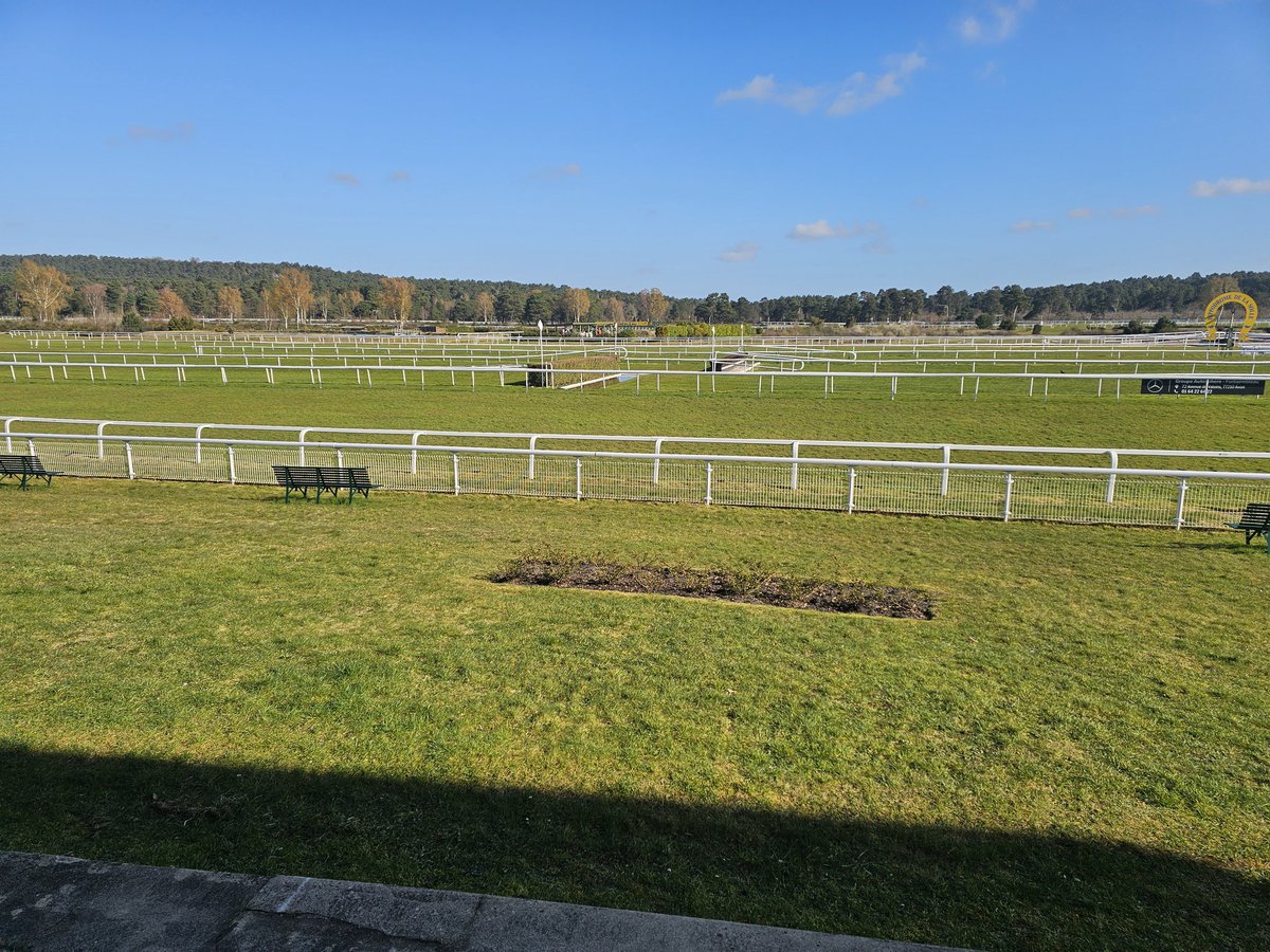 Mike Parcej tweet media