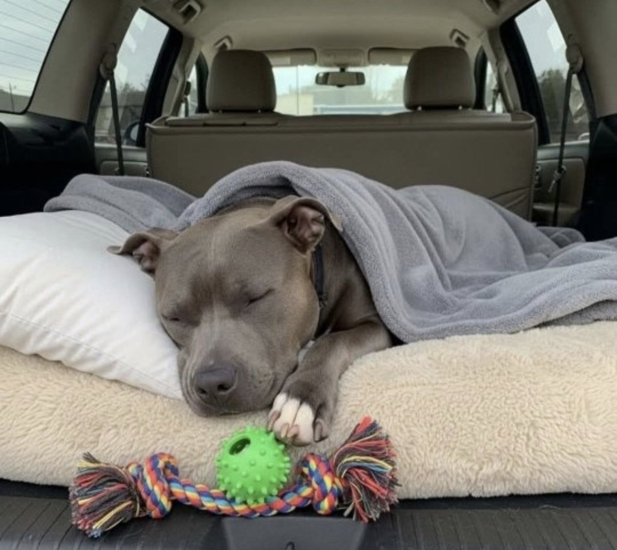 Minu Mahi tweet media