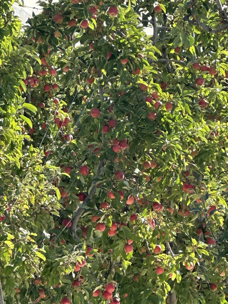 James Sexton tweet media