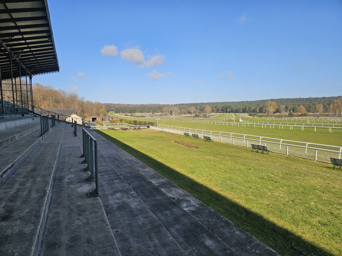 Mike Parcej tweet media