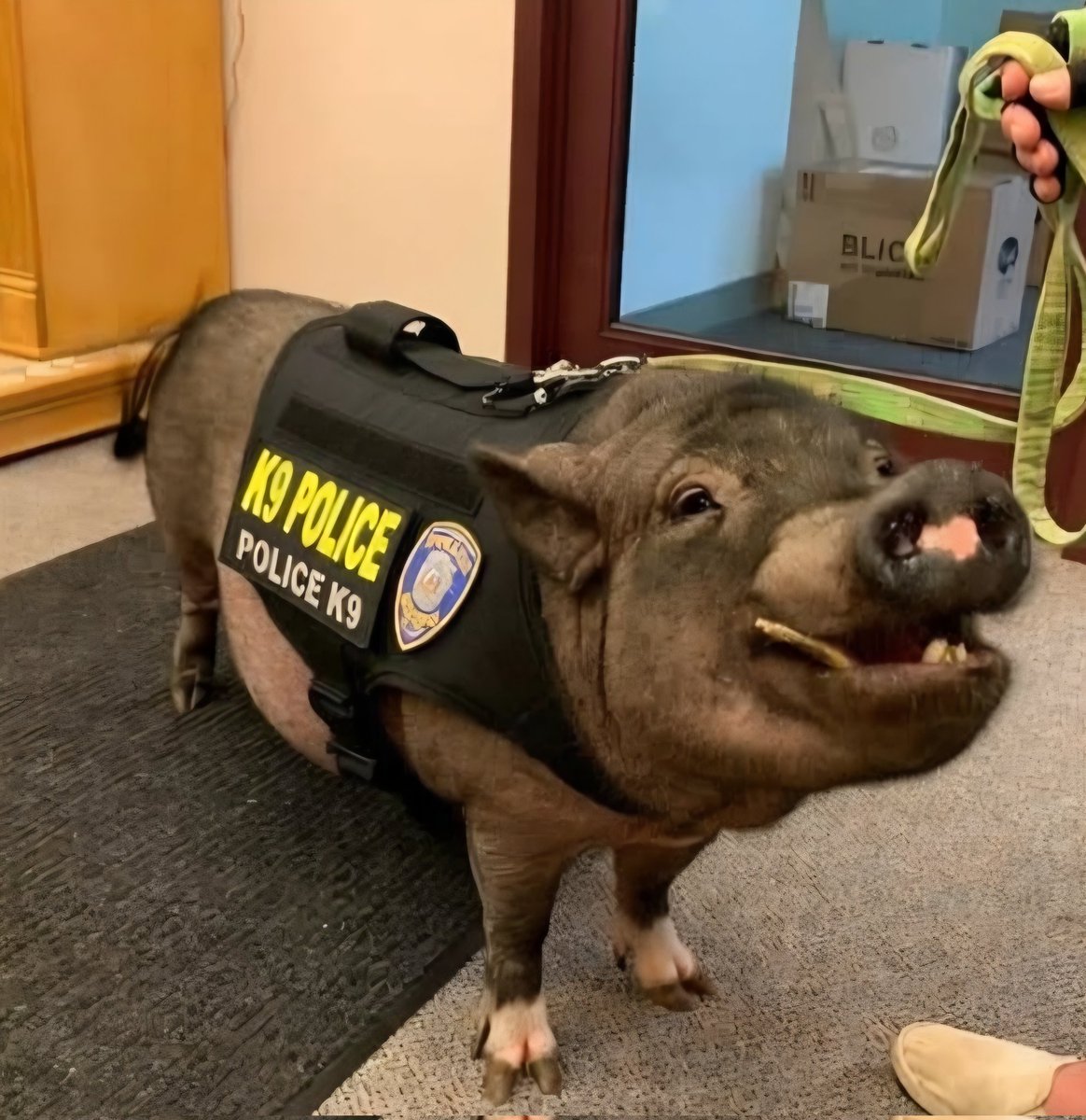 Ruth E. Brown 🇺🇲 tweet media