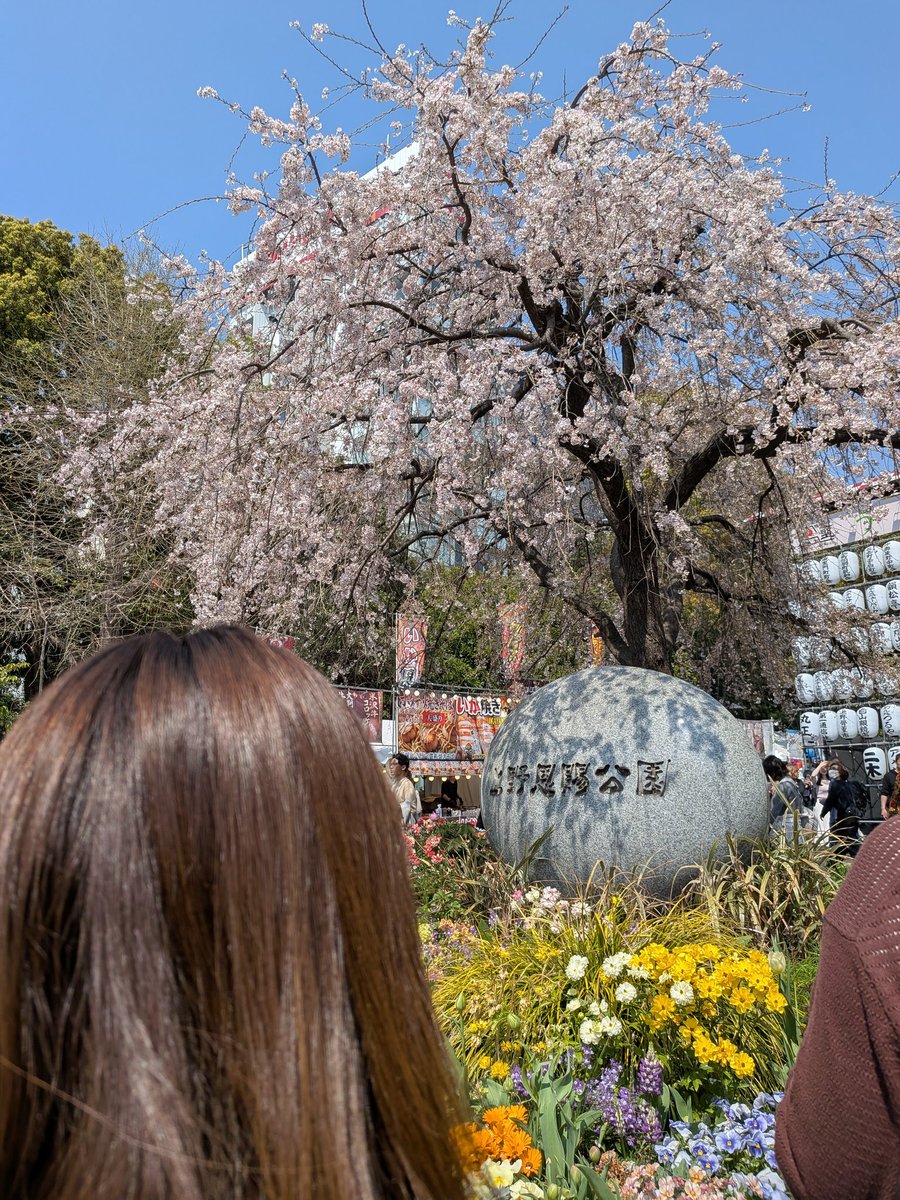 sho GR86 🟣🟣🟣 tweet media