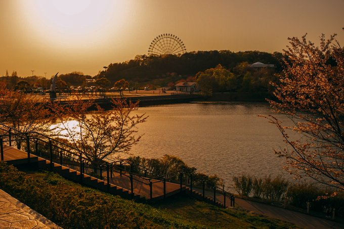 でにひろ tweet media