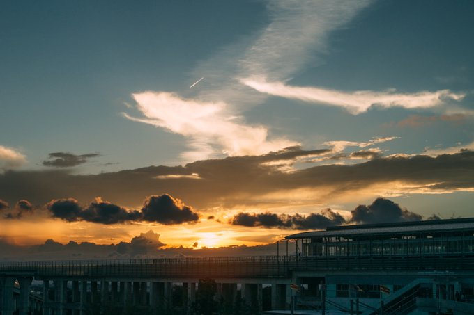 でにひろ tweet media