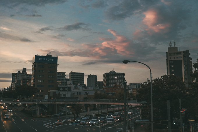 でにひろ tweet media