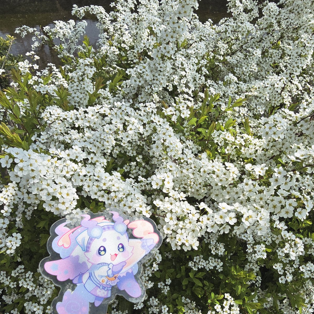 のねこ tweet media