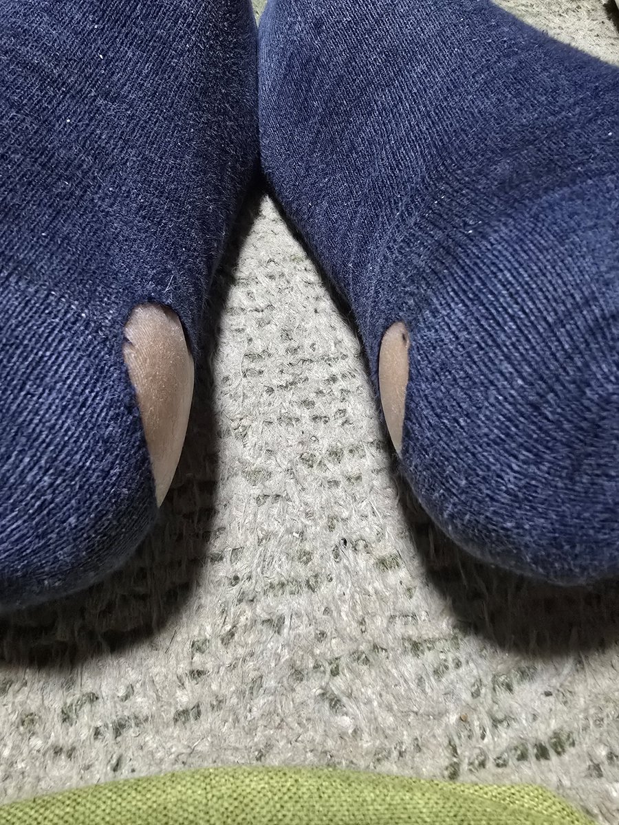 ハス山さん tweet media