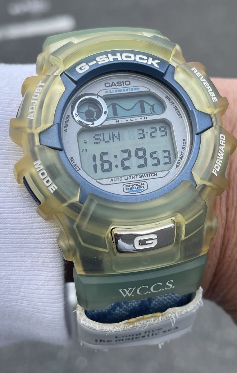 グレアム.W tweet media