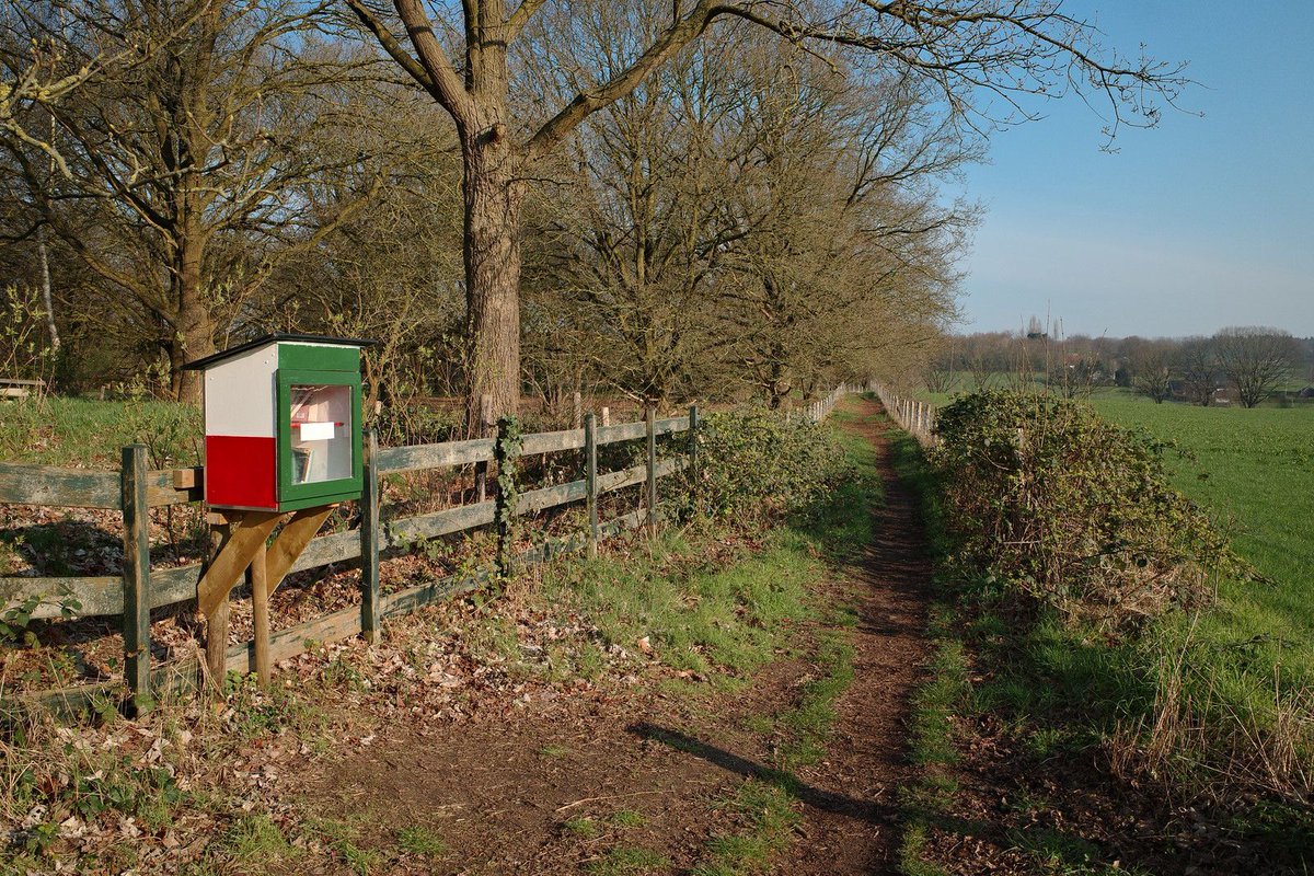 F@bio ✨ tweet media