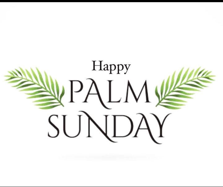 Bigname Ini tweet media