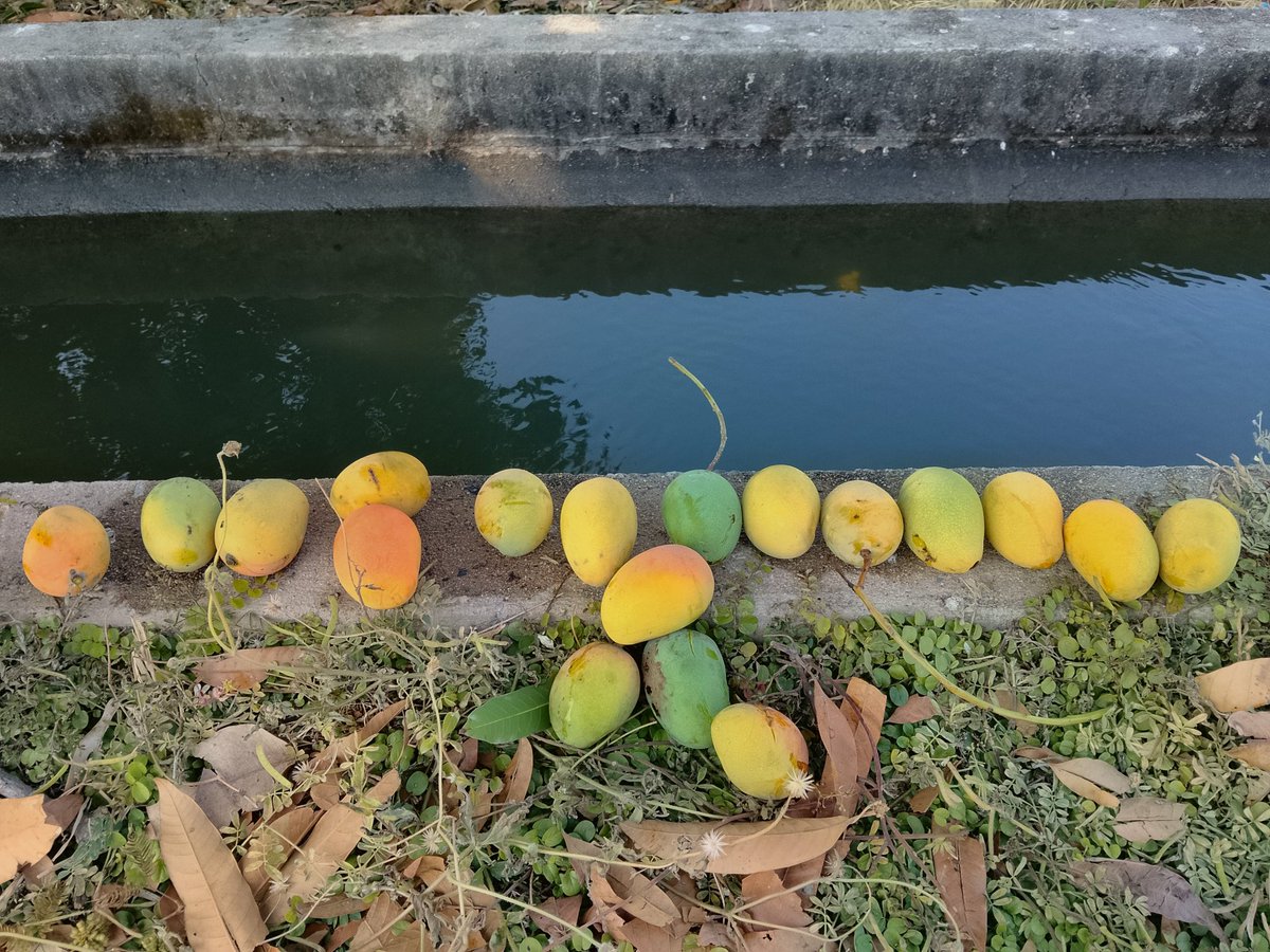 Sugas 🔰O⁠_⁠o tweet media