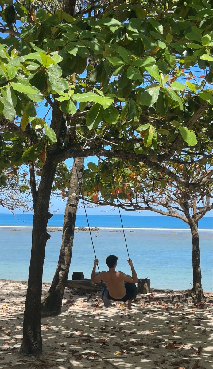 chocochip cookie tweet media