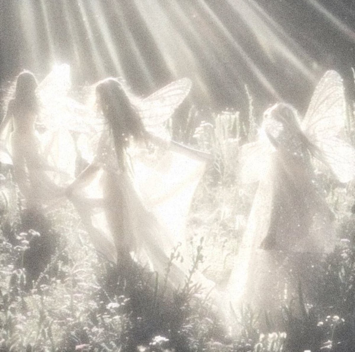 •ꪶꪮᦓꪻ• tweet media