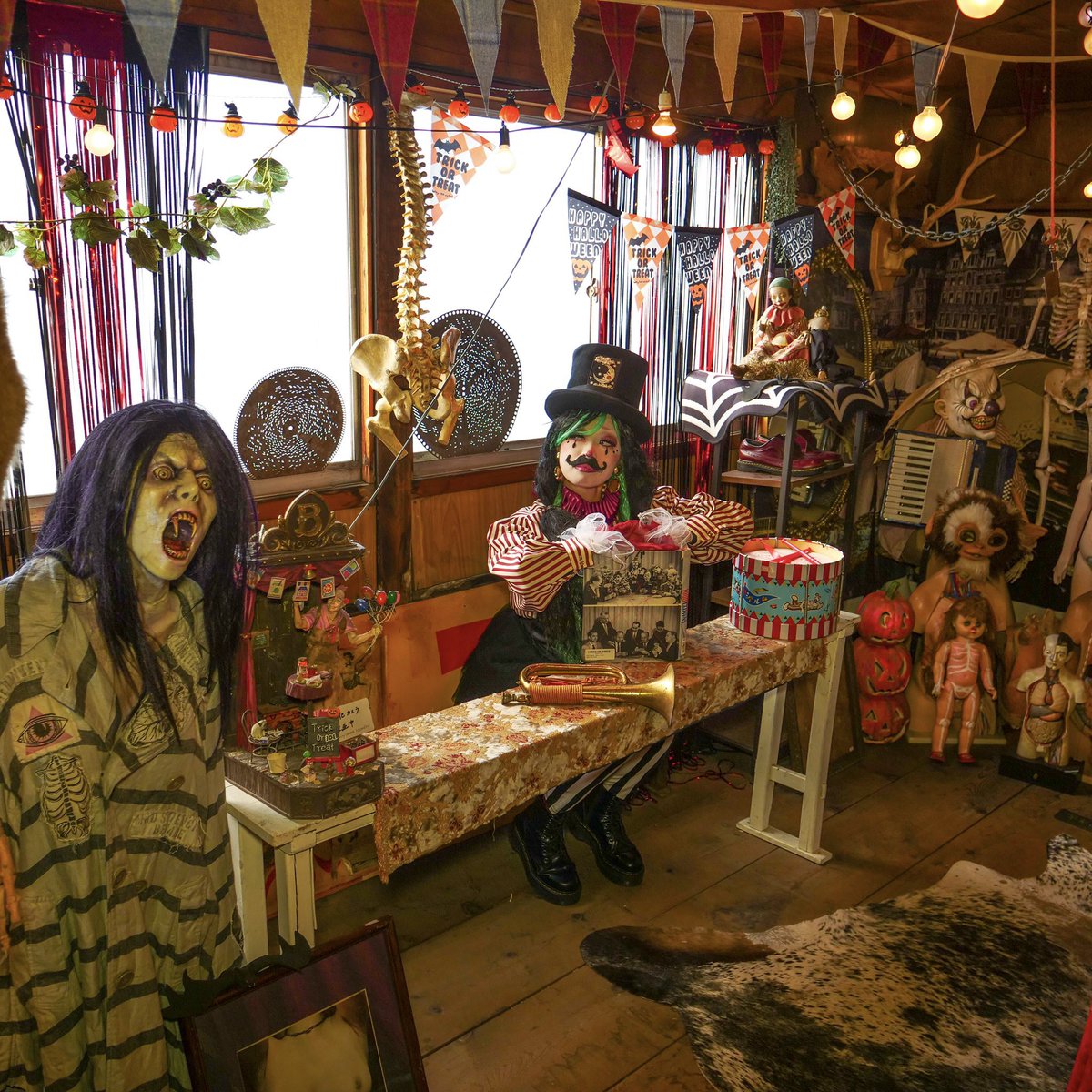 Anatomic Circus tweet media