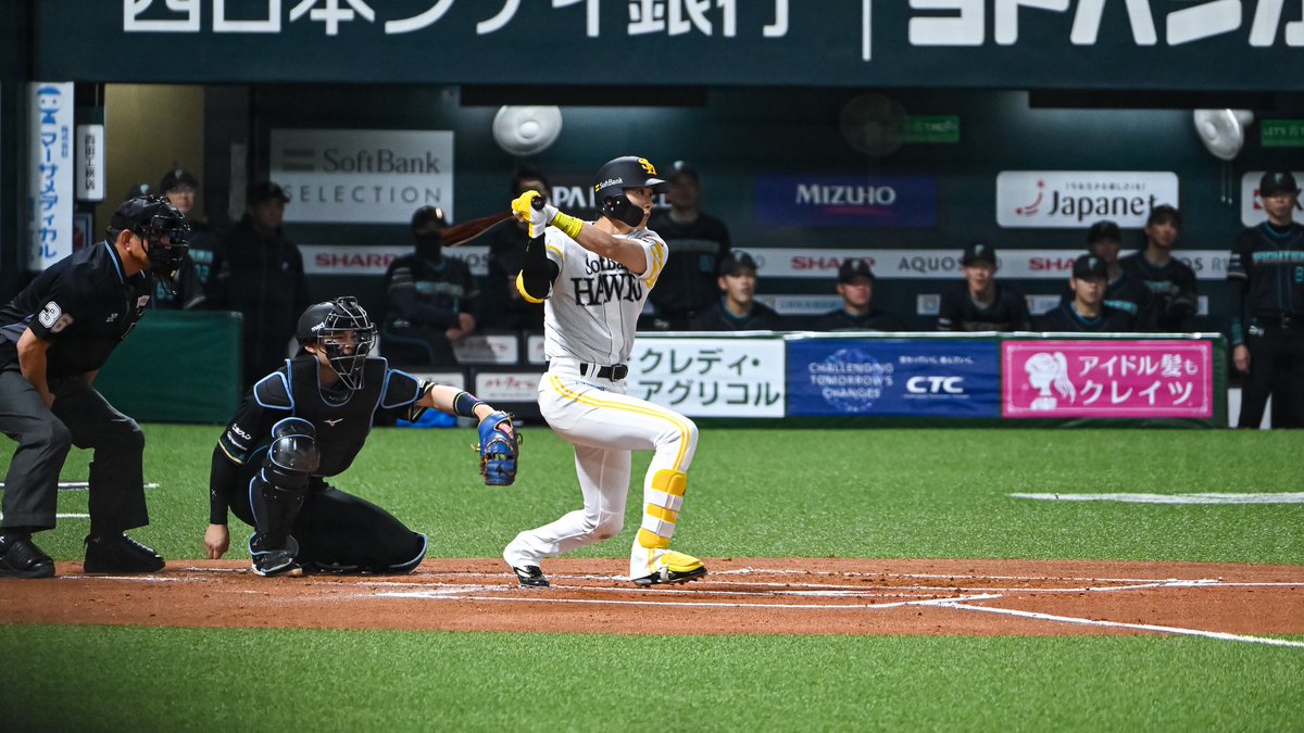 ﾔﾏﾌｫﾄ tweet media