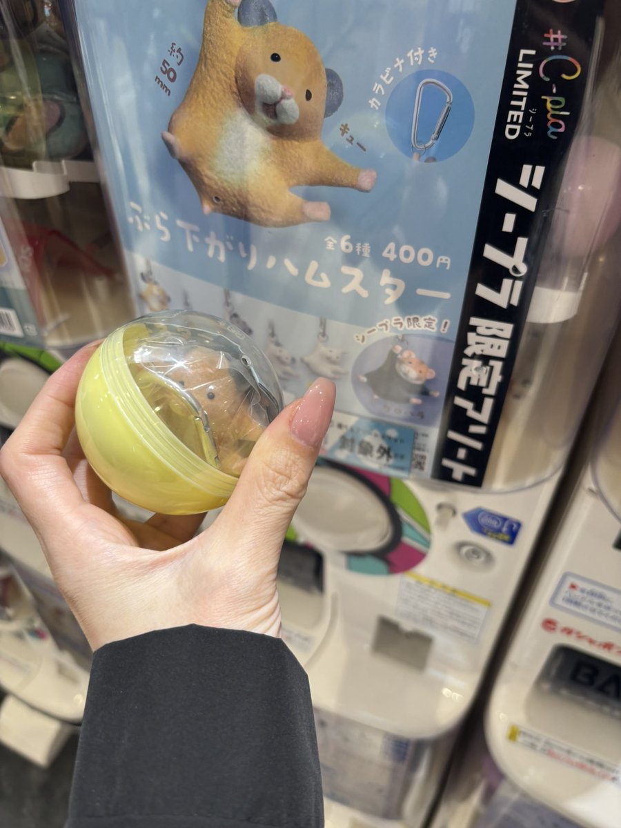 sangsang tweet media