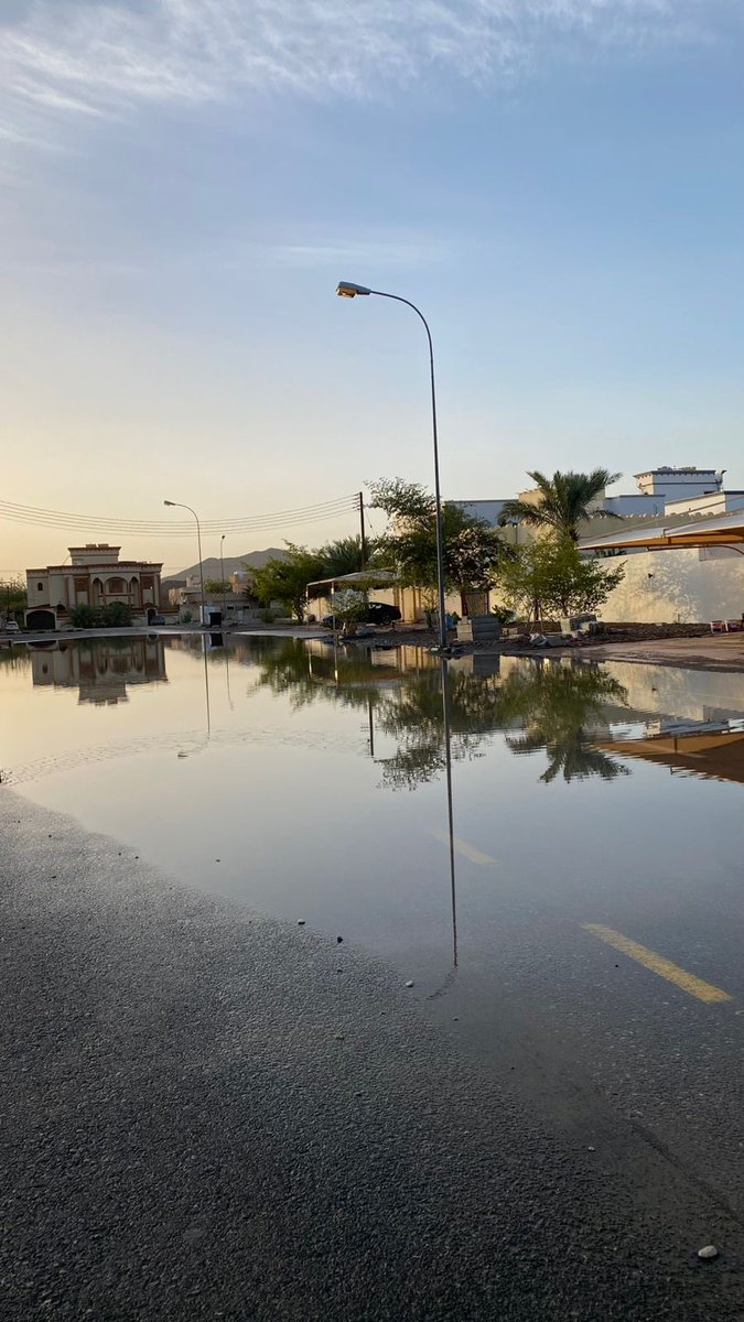 نبـض الفيحـاء | إعلام tweet media