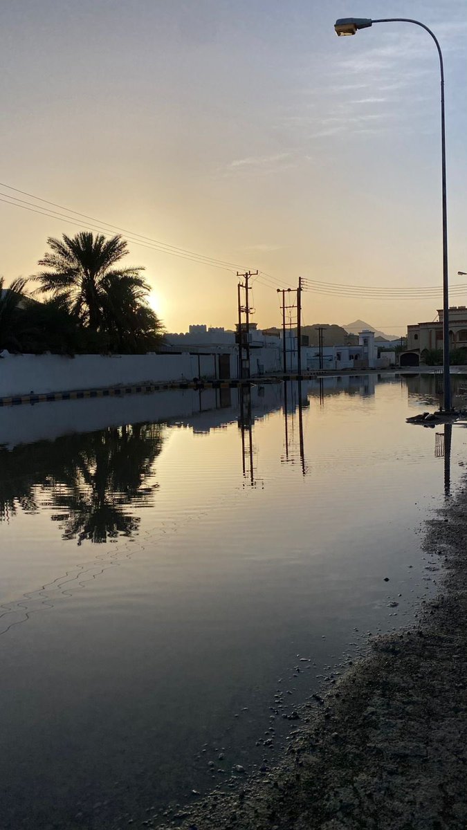 نبـض الفيحـاء | إعلام tweet media