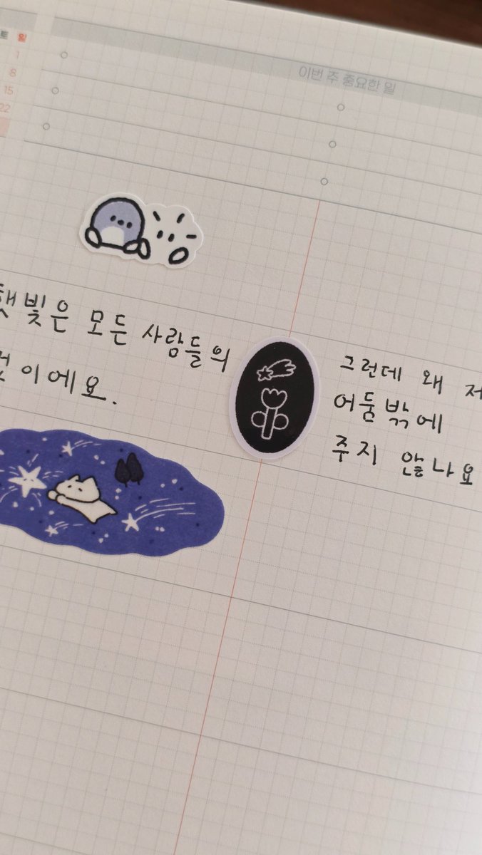 일러스트레이터 비야🐋 tweet media