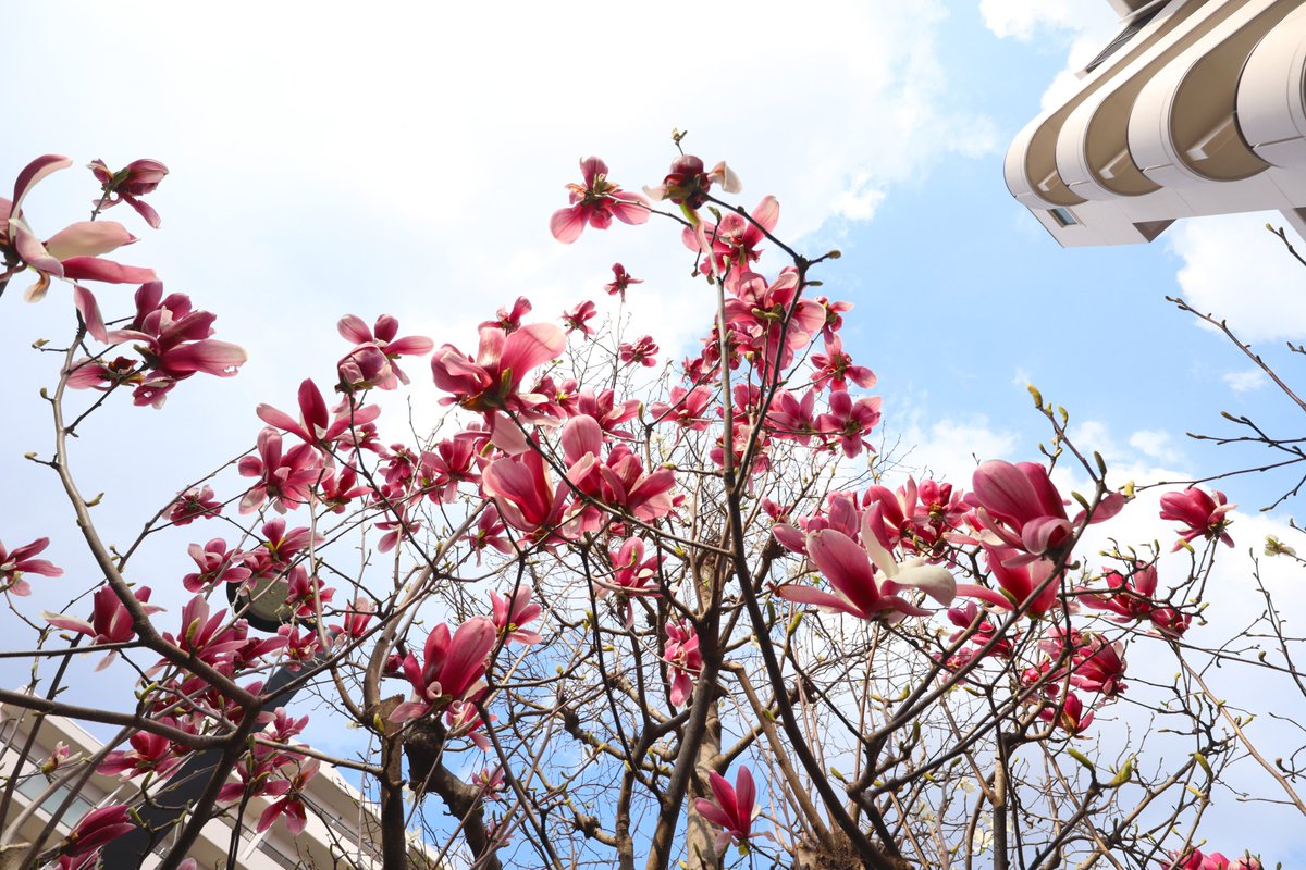 株式会社スタジオ武器屋 tweet media