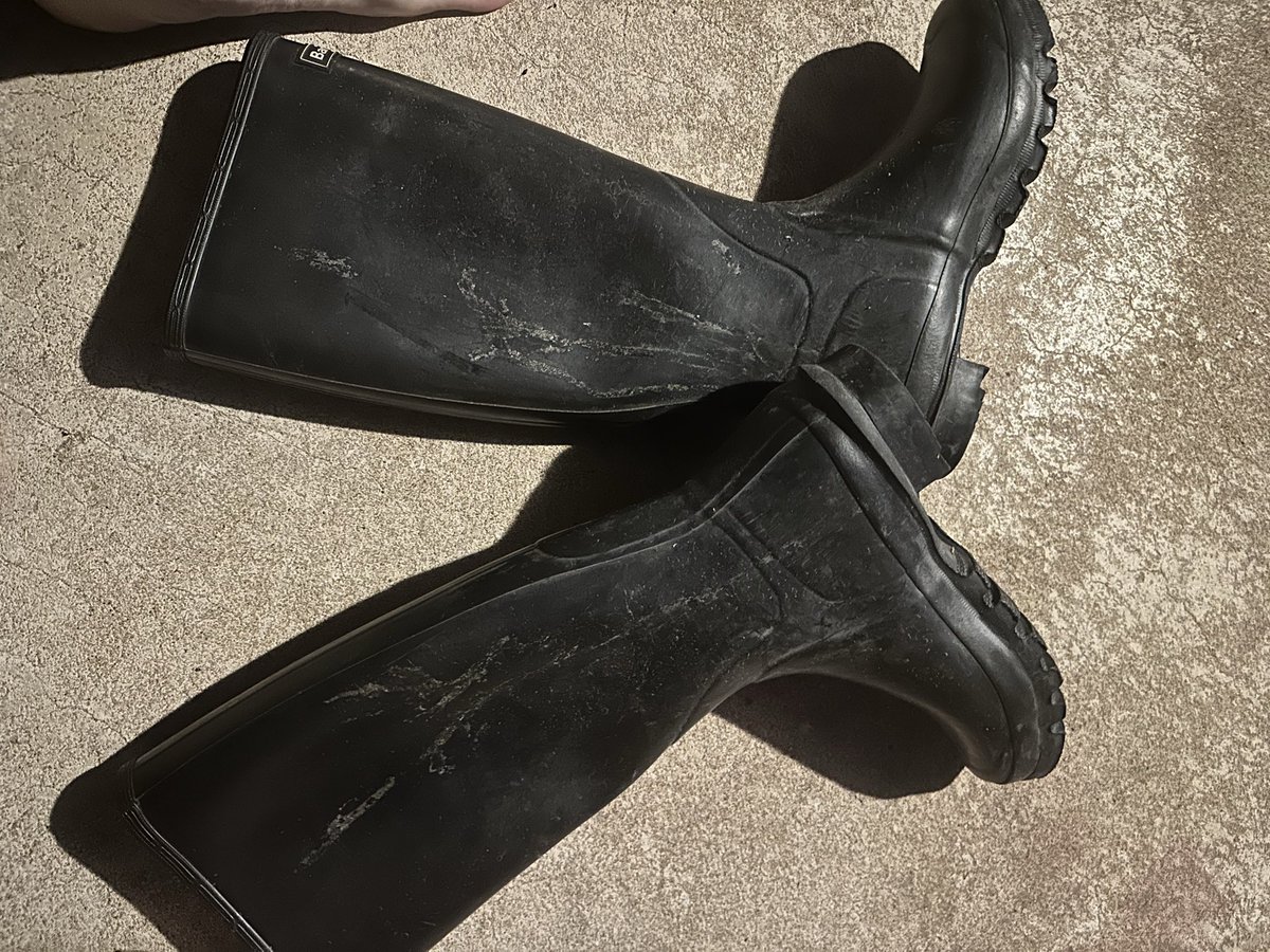 Aussie Wellie Boi tweet media