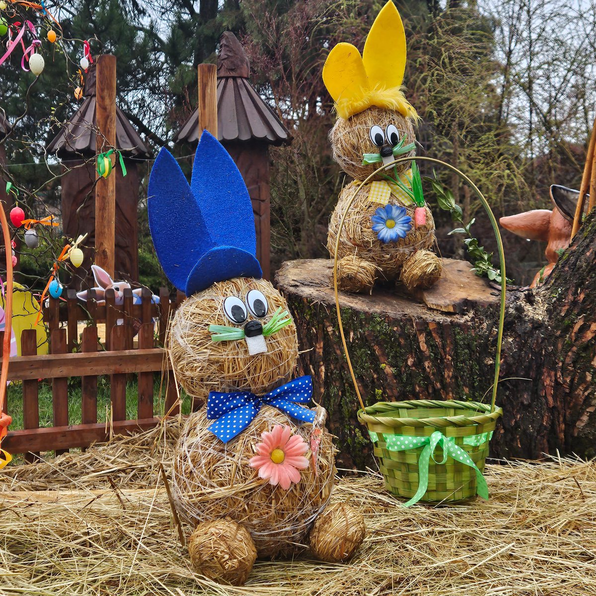 TomasZdechovsky's tweet image. Na Broumovsku tradice stále žijí. 🌸

Zdravíme z Broumova z Farmy Wenet – dnešní holčičí koleda potěšila a připomněla, že krásné zvyky mají stále své místo.

Foto: Martin Netík

#Broumov #Tradice #Velikonoce