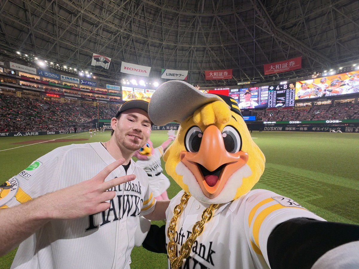 ハリーホーク(公式) tweet media