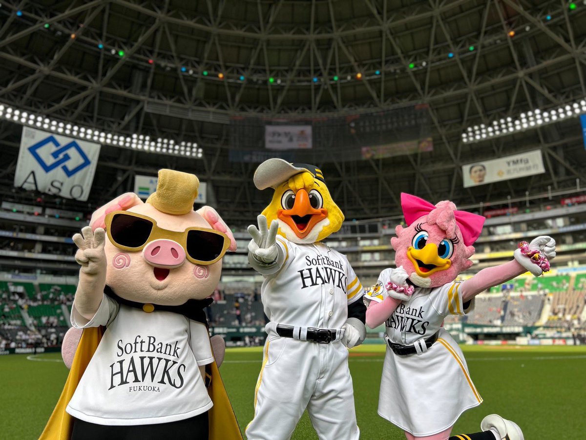 ハリーホーク(公式) tweet media