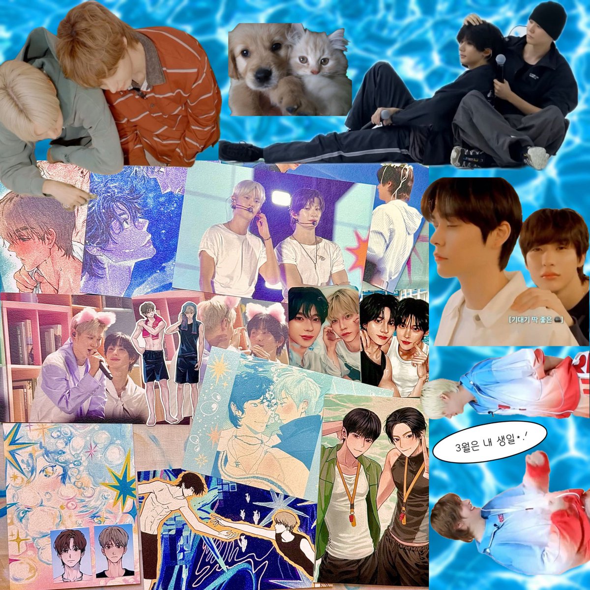 밥푸리 tweet media