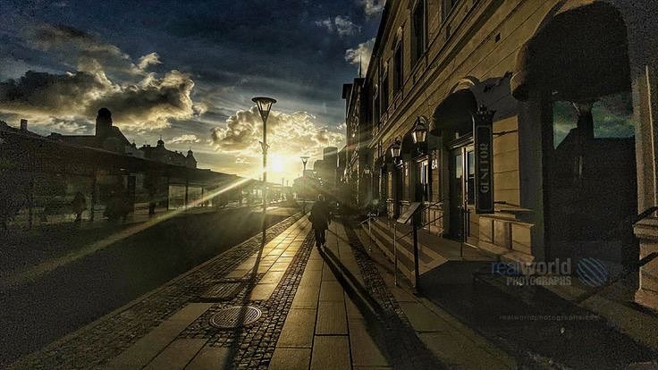 Real World Photographs tweet media