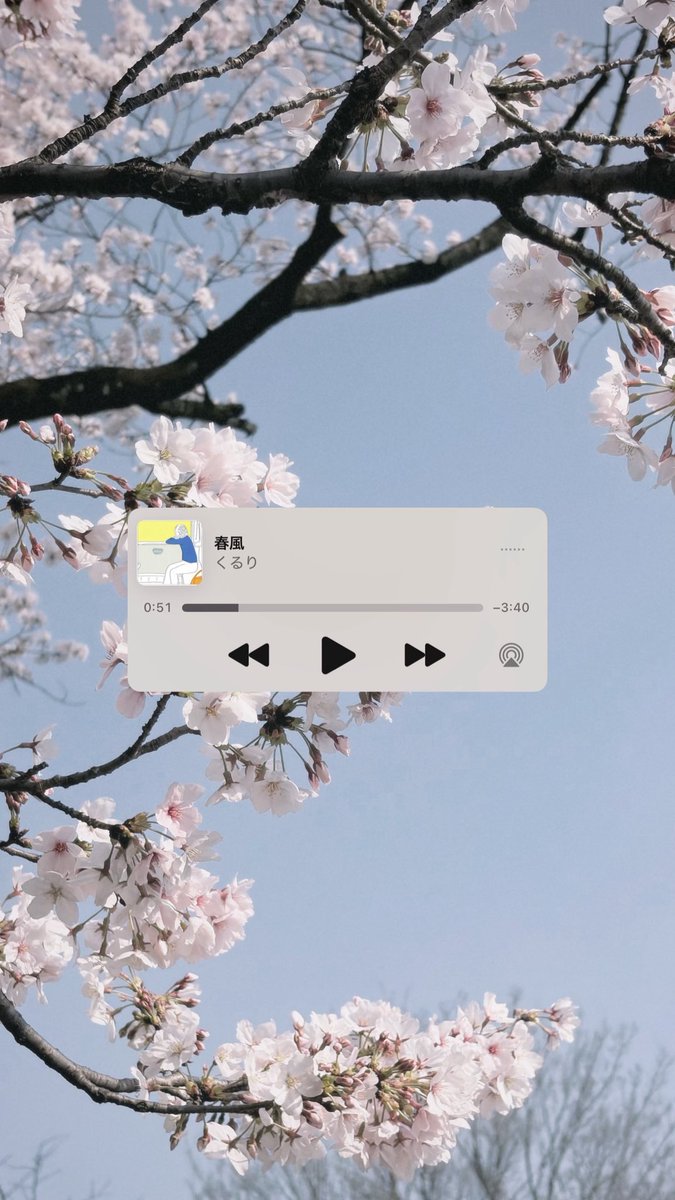 Sho@東京 tweet media