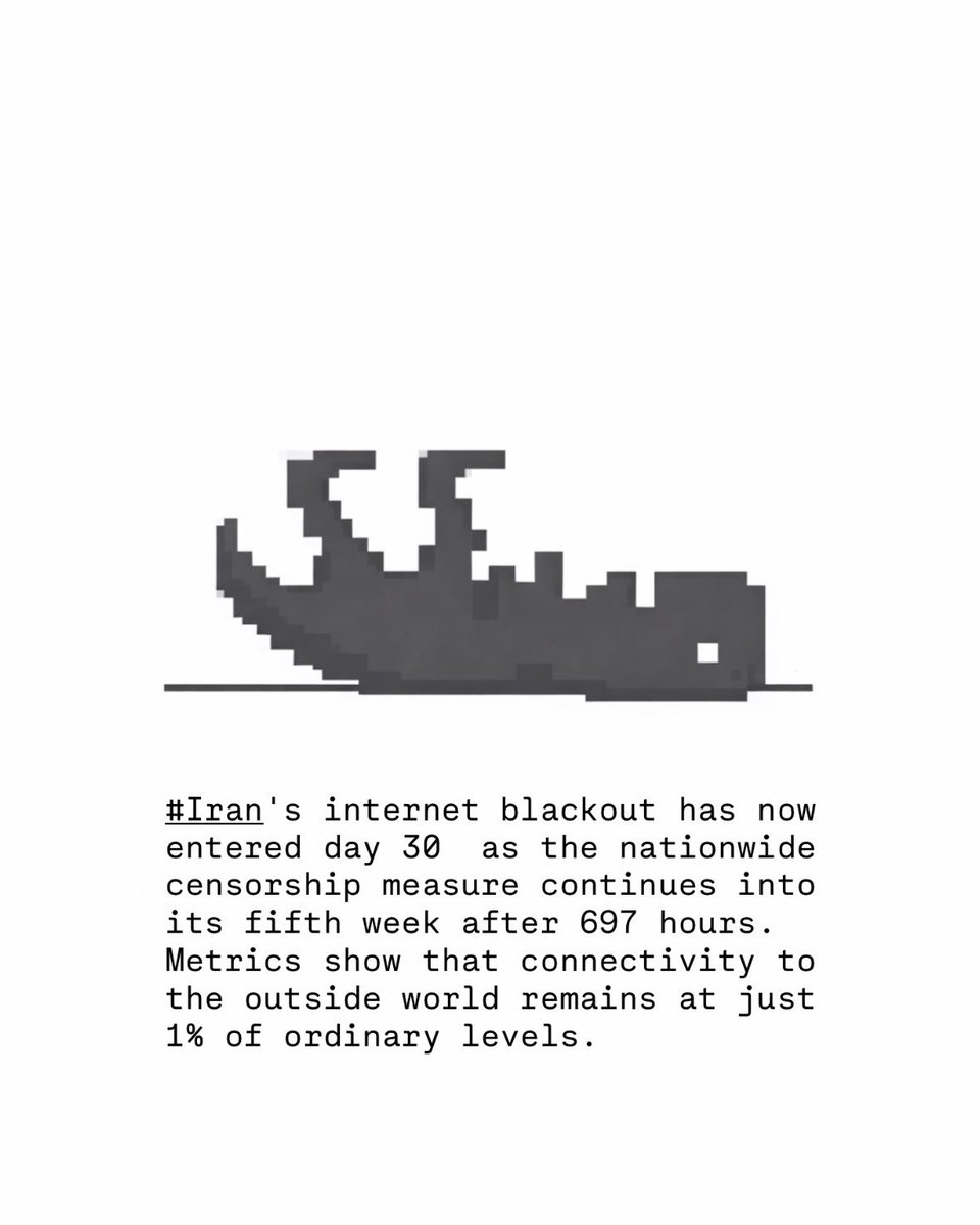 shahrzad afshari tweet media